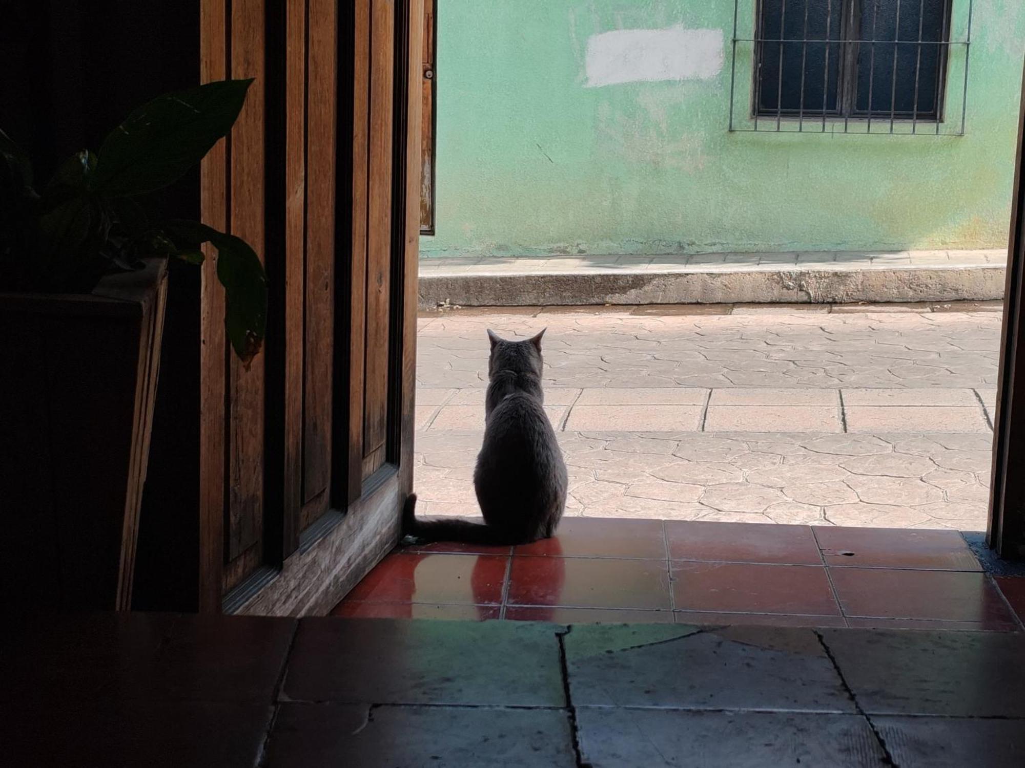 Ostello Casa Satoshi San Cristóbal de Las Casas Esterno foto